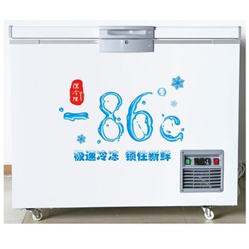 Kontenitur tas-Silġ Niexef